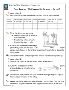 Transpiration Investigation: Celery & Water Movement