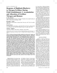 Response of Highbush Blueberry to Nitrogen Fertilizer During Field Establishment, I: Accumulation