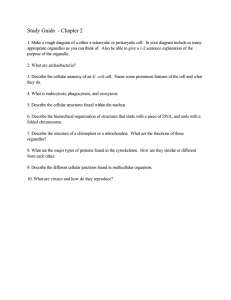 Study Guide  - Chapter 2