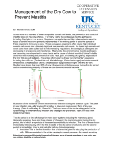 Management of the Dry Cow to Prevent Mastitis