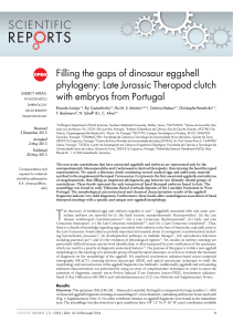 Filling the gaps of dinosaur eggshell phylogeny: Late Jurassic Theropod clutch