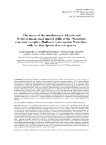 The status of the northeastern Atlantic and Ocinebrina aciculata