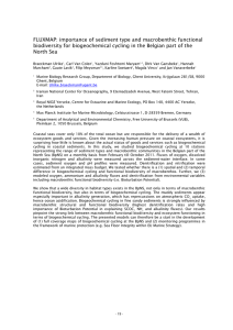 FLUXMAP: importance of sediment type and macrobenthic functional