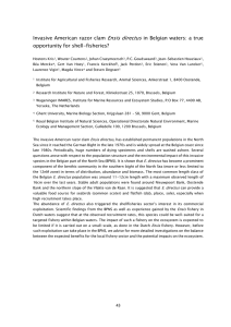 Ensis directus Invasive American razor clam in Belgian waters: a true