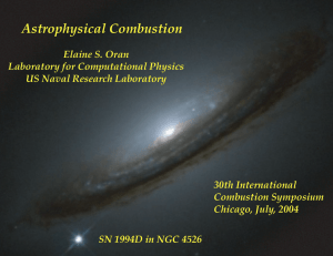 Astrophysical Combustion