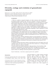 Diversity, ecology and evolution of groundwater copepods