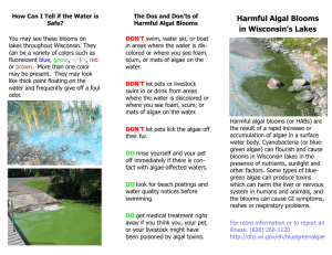 Harmful Algal Blooms in Wisconsin’s Lakes