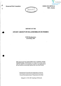 STUDY GROUP ON ELASMOBRANCH FISHES leES CM 1997/G:2 Ref.: Assess Demersal Fish Committee