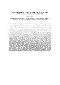 INTEGRATING LIDAR AND CIR IMAGERY FOR MAPPING TIDAL