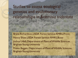 Studies to assess ecological genetics and evolutionary Artemisia tridentata