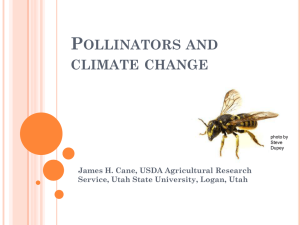 P OLLINATORS AND CLIMATE CHANGE James H. Cane, USDA Agricultural Research