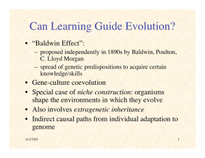 Can Learning Guide Evolution? • “Baldwin Effect”: