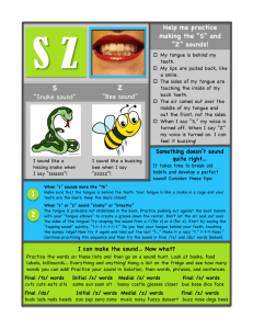 Practice S and Z Sounds: Speech Therapy Worksheet