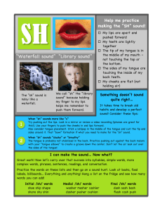 Practice the SH Sound: Speech Therapy Worksheet