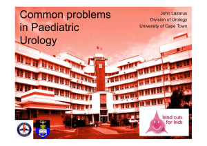 Common problems in Paediatric Urology John Lazarus