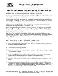 INSTRUCTION SHEET: ABSCESS UNDER THE SKIN, NO I &amp; D