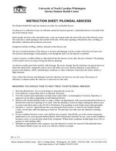 INSTRUCTION SHEET: PILONIDAL ABSCESS University of North Carolina Wilmington