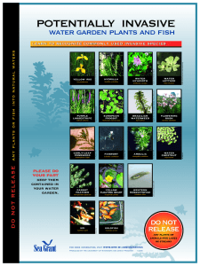 POTENTIALLY  INVASIVE water garden plants and fish