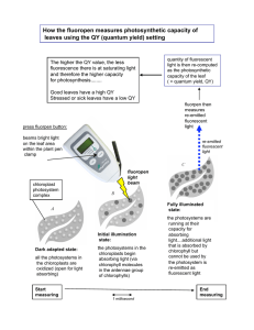 Fluorpen Photosynthetic Capacity Measurement (QY)