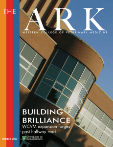 A R K BUILDING BRILLIANCE THE