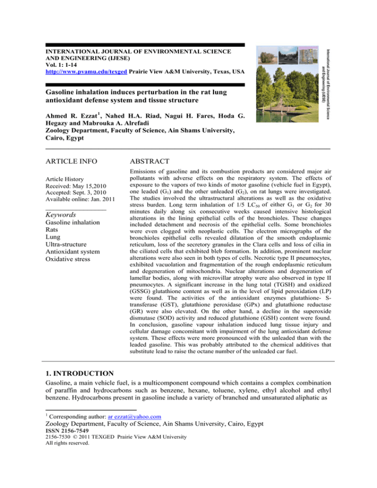 Gasoline inhalation induces perturbation in the rat lung