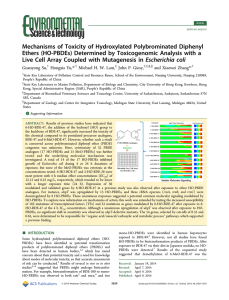 Mechanisms of Toxicity of Hydroxylated Polybrominated Diphenyl
