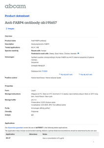Anti-FABP4 antibody ab195657 Product datasheet 2 Images