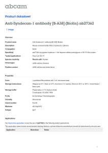 Anti-Syndecan-1 antibody [B-A38] (Biotin) ab27362 Product datasheet 1 Image Overview