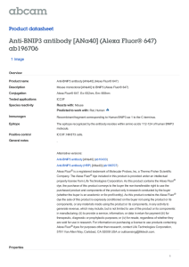 Anti-BNIP3 antibody [ANa40] (Alexa Fluor® 647) ab196706