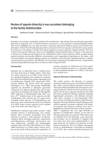 48 Review of saponin diversity in sea cucumbers belonging Guillaume Caulier,