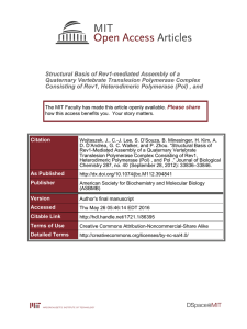 Structural Basis of Rev1-mediated Assembly of a