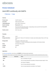 Anti-EPO antibody ab126876 Product datasheet 1 References 1 Image