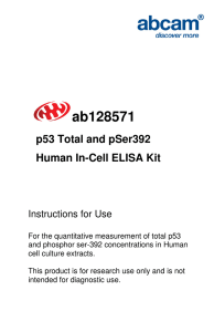 ab128571  p53 Total and pSer392 Human In-Cell ELISA Kit