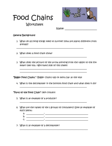 Food Chains  Worksheet Name: _________________________