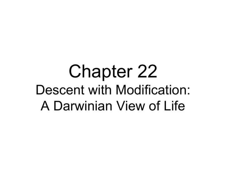 Chapter 22 Descent With Modification A Darwinian View Of Life 9719