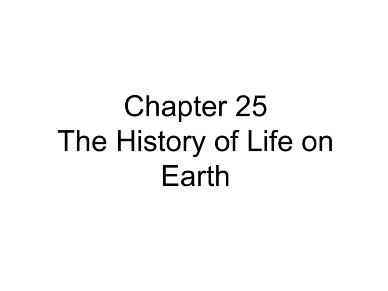 Chapter 25 The History of Life on Earth