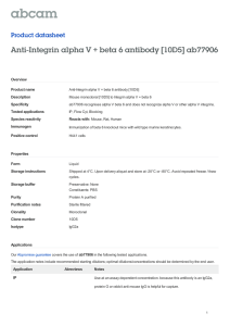 Anti-Integrin alpha V + beta 6 antibody [10D5] ab77906