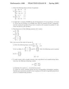 Mathematics 1090 PRACTICE EXAM II Spring 2005