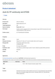 Anti-IL17F antibody ab107208 Product datasheet 1 Image Overview