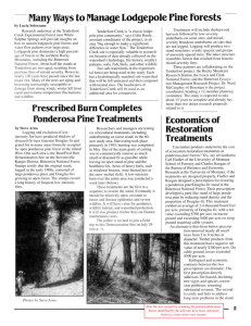 - Many Ways to Manage Lodgepole Pine forests by u