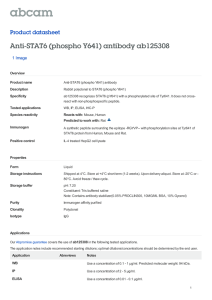 Anti-STAT6 (phospho Y641) antibody ab125308 Product datasheet 1 Image Overview