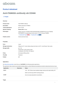 Anti-FAM60A antibody ab122444 Product datasheet 2 Images Overview