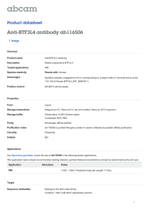 Anti-BTF3L4 antibody ab116506 Product datasheet 1 Image Overview
