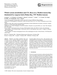 Whole-system metabolism and CO fluxes in a Mediterranean Bay