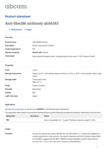 Anti-Ube2M antibody ab56383 Product datasheet 1 References 1 Image