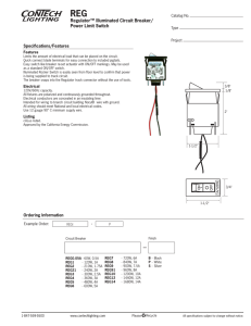 REG Regulator™ Illuminated Circuit Breaker/ Power Limit Switch