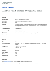 Anti-Bu1a + Bu1b antibody [AV20] (Biotin) ab25166 Product datasheet Overview Product name