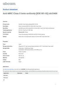 Anti-MHC Class II beta antibody [KSK 001-02] ab23488