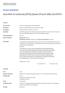 Anti-HLA G antibody [87G] (Alexa Fluor® 488) ab187576