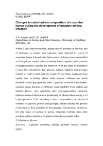 Changes in carbohydrate composition of cucumber infection